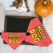 I'm Friendly Dog Pet Bandana Collar - Themed Scarf Collar - Cute Dog Bandana