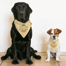 My Dog Is My Sunshine Pet Bandana Collar - Phrase Scarf Collar - Cute Dog Bandana
