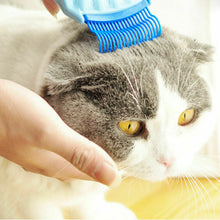 Pet Massage Shell Brush