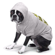 Drama Queen Dog Hoodie with Pocket - Funny Dog Coat - Themed Dog Clothing