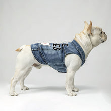 Free Kisses Dog Denim Vest - Word Print Dog Denim Jacket - Minimalist Dog Clothing