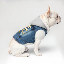 My Dog Is My Sunshine Dog Denim Jacket - Phrase Dog Denim Coat - Cute Dog Clothing