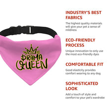 Drama Queen Pet Bandana Collar - Funny Scarf Collar - Themed Dog Bandana