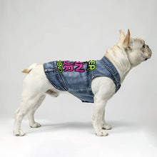 Cuter Than Your Boyfriend Dog Denim Vest - Funny Dog Denim Jacket - Colorful Dog Clothing