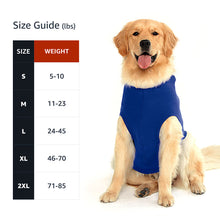 My Dog Is My Sunshine Dog Shirt with Hoodie - Phrase Dog Hoodie - Cute Dog Clothing