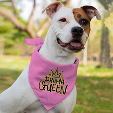 Drama Queen Pet Bandana - Funny Dog Bandana - Themed Pet Scarf