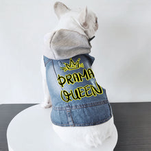 Drama Queen Dog Denim Jacket - Funny Dog Denim Coat - Themed Dog Clothing