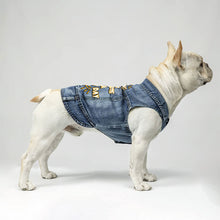 My Dog Is My Sunshine Dog Denim Vest - Phrase Dog Denim Jacket - Cute Dog Clothing