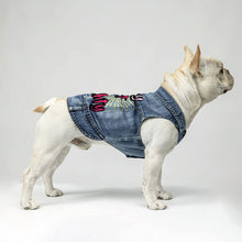 Tiny but Mighty Dog Denim Vest - Art Dog Denim Jacket - Word Art Dog Clothing