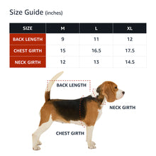 Happy Dog Happy Life Dog Denim Jacket - Phrase Dog Denim Coat - Art Print Dog Clothing